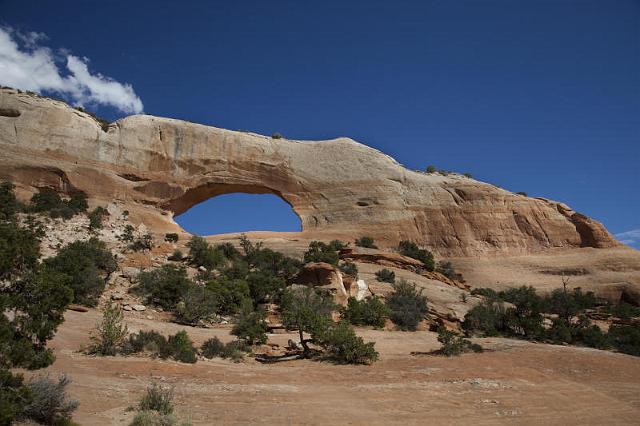 238 Wilson Arch.jpg